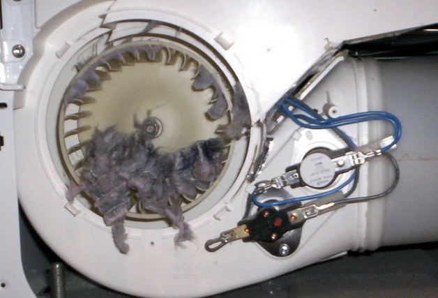lint blades
