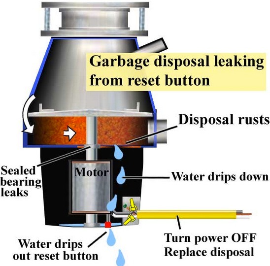 Garbage Disposal Leaking from the Reset Button: Fix Tips